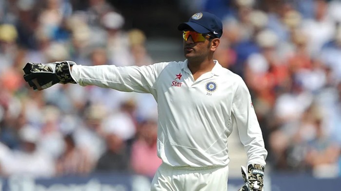 Most Dismissals in Career in Tests