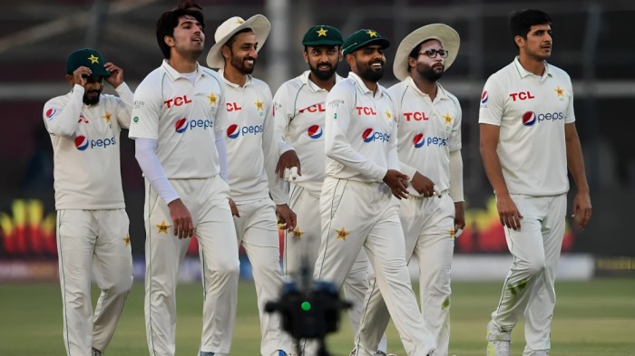 Teams with Most Wins in Test Cricket