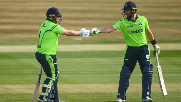 Most Powerful Opening Pairs in T20 