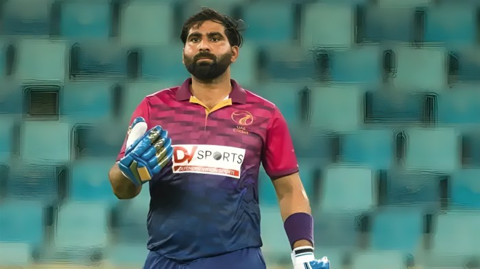 ব্যাটসম্যান যারা এক ক্যালেন্ডার বছরে T20 ক্রিকেটে সবচেয়ে বেশি রান