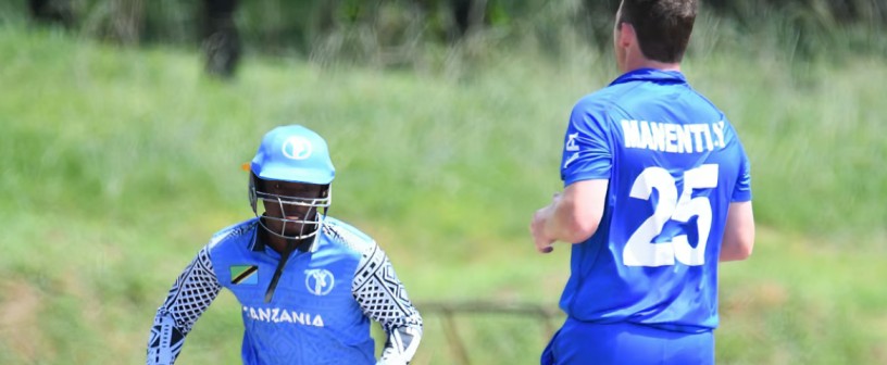 Most Powerful Opening Pairs in T20 